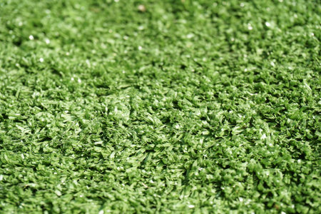 green grass texture
