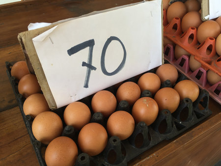 eggs in marketの写真素材