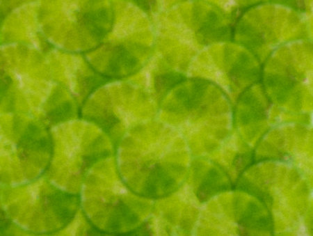 art grunge green color abstract pattern illustration background