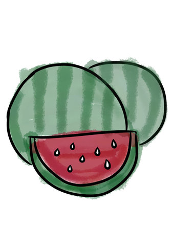 watermelon fruit on white backgroundの写真素材