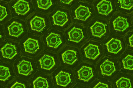 green color pattern backgroundの写真素材