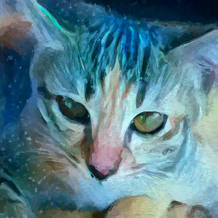 Art cat backgroundの写真素材