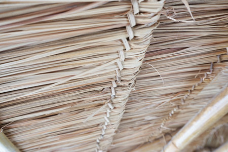 dry Nypa fruticans leaves roofの写真素材