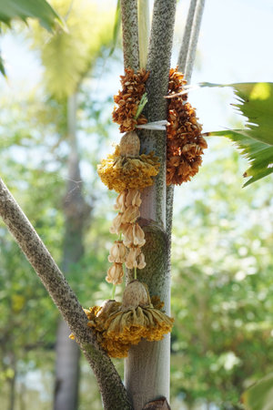 dry garland on green tree