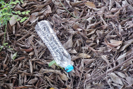 close up plastic bottle on dry leaves