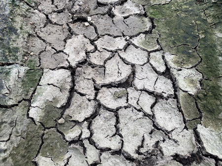 close up dry soil in country Thailand
