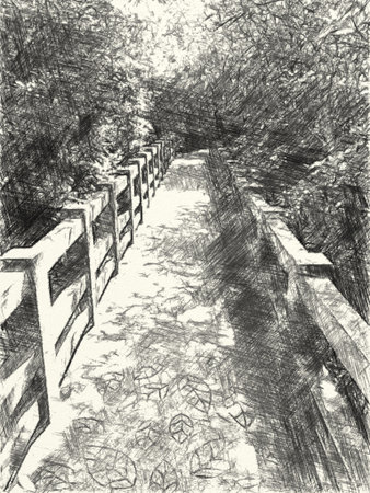 art drawing black and white of way in forestの写真素材