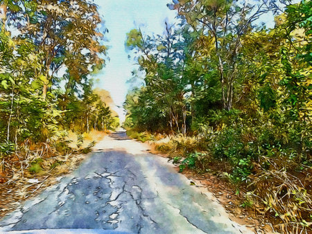 art drawing color of way in forestの写真素材