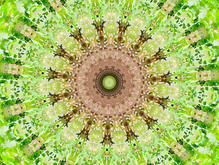 green color of abstract backgroundの写真素材