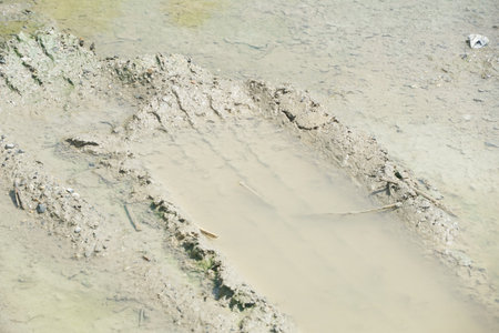 dry wheel track on dirt soil texture