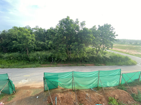 Road in country Chachoengsao at Thailand