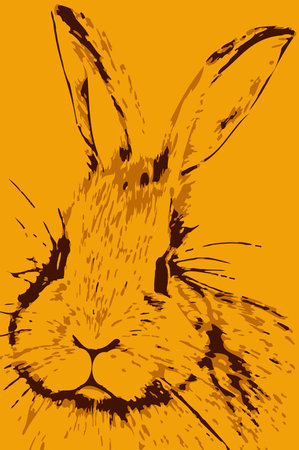 art color of bunny cartoonの写真素材