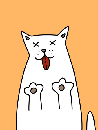 cute cat on orange backgroundの写真素材