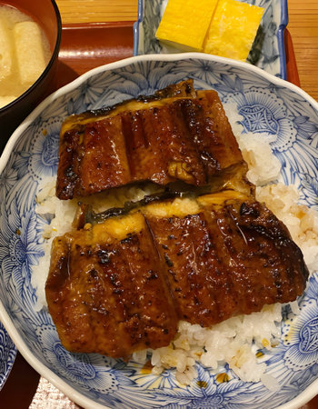 roast fish steak with sauce, close up, horizontal photo