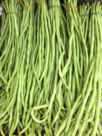 fresh green yard long beans in the marketの写真素材