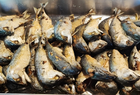Fried mackerel , delicious and crispyの写真素材