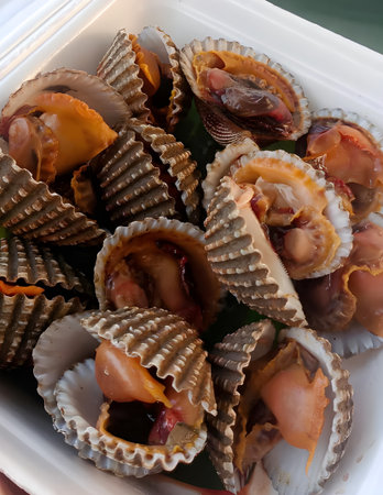fresh seafood on a white background, cockle boiled