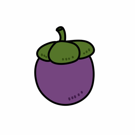 mangosteen cartoon on white backgroundの写真素材