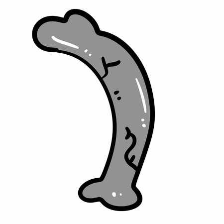 hand drawn doodle style cartoon bone signの写真素材