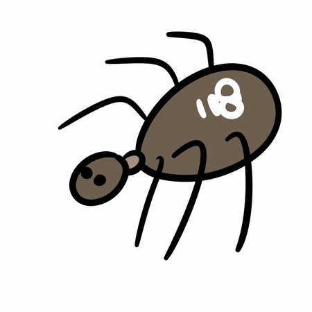 cute doodle spider icon. hand drawn illustration. isolated on white background.の写真素材