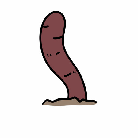 earthworm cartoon on white backgroundの写真素材