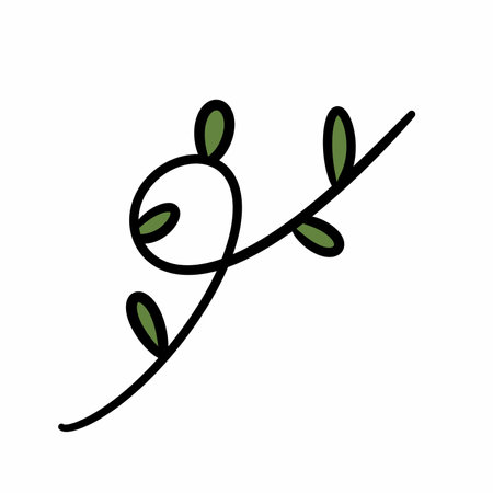 ivy cartoon on white backgroundの写真素材