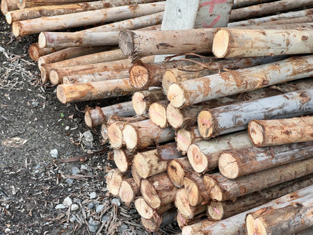 pile of wood logs for the background.