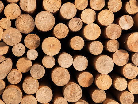 stack of wood logs backgroundの素材