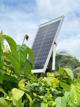 solar energy panels on green plant