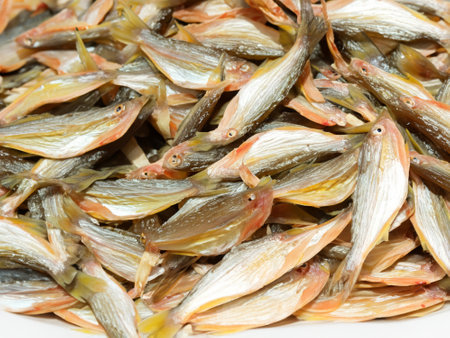 fresh fishes in bowl in marketの素材