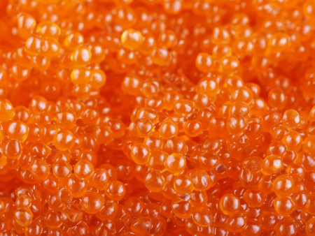close up of fresh red caviarの素材