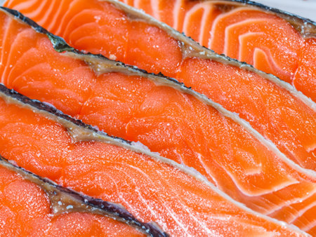 fresh salmon fillet on iceの素材