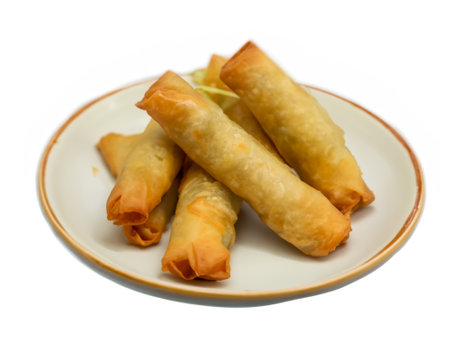 fried spring rolls on a white plateの素材