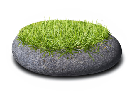 stone grass with moss isolated on white background 3d renderの素材