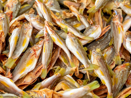 dried fresh fish in the marketの素材