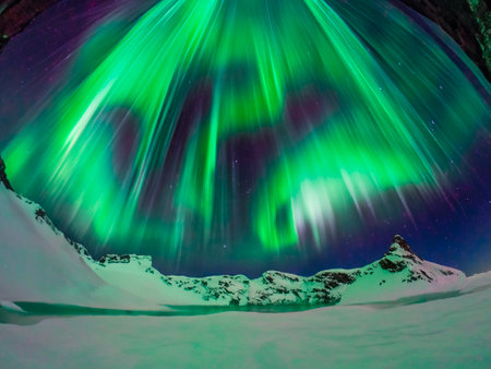 borealis of the polar lights of the aurora in the winterの素材