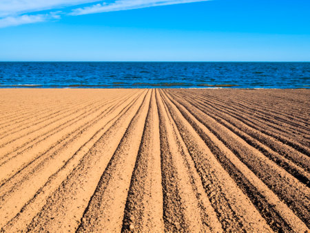 empty sand beach in the spanish desertの素材