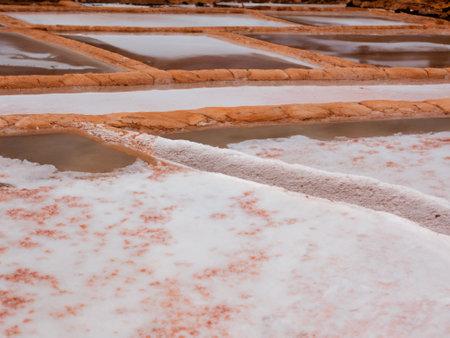 white salt production in the factoryの素材