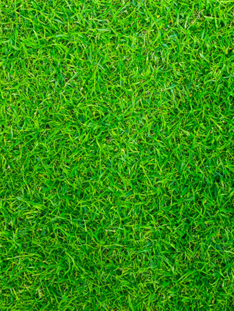 close up fresh grass background. textureの写真素材