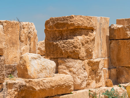 view on the ruins of ancient city and temple of sut, jordanの素材