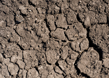 close up soil background, top viewの素材