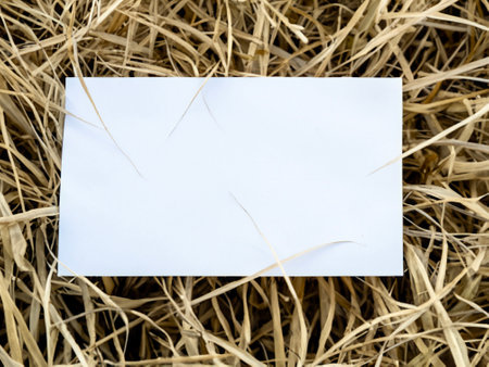 blank paper on the grassの素材