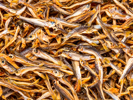 dried fish on the marketの素材