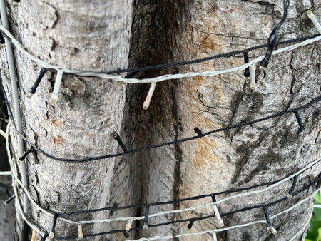 bark tree texture with light bulbの写真素材