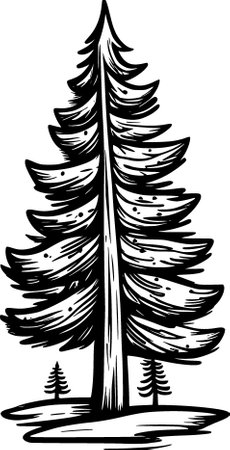 christmas tree illustration on white backgroundの写真素材