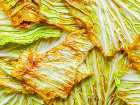 close up of fried cabbage on the panの素材