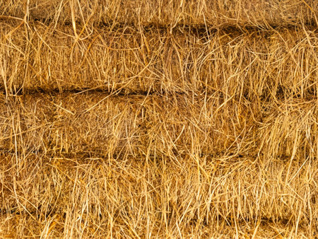 dry straw texture backgroundの素材