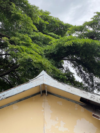 old wooden house in the cityの写真素材