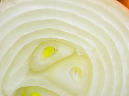 close up of sliced onionの素材
