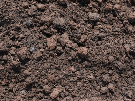 soil background texture. top view of the ground.の素材